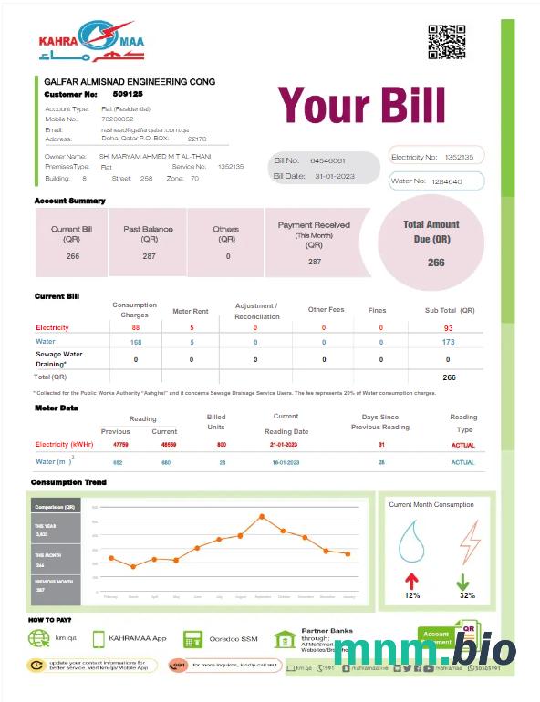 Qatar Kahra Maa rachunek za media Word i PDF template